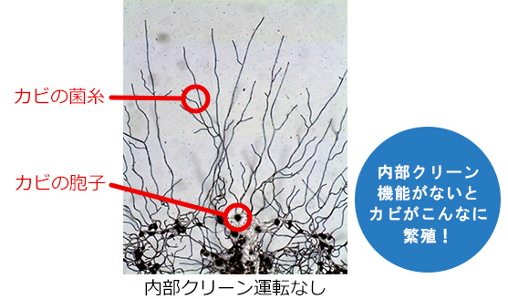 新旧【鬼】MJ-P180TXと型落ちMJ-P180SX・MJ-M120TX 違い口コミ:レビュー!