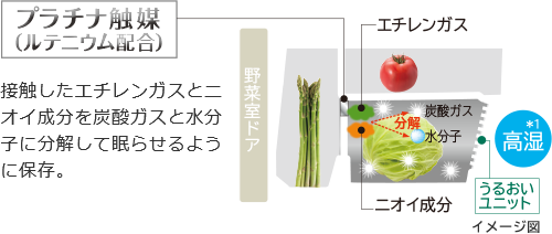 接触したエチレンガスとニオイ成分を炭酸ガスと水分子に分解して眠らせるように保存。