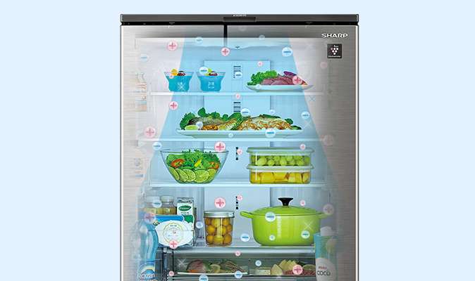 SJ-MF50Kプラズマクラスター集中シャワーモードで冷蔵室内を清潔にするイメージ