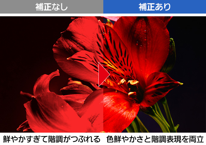 com pic color - 【鬼比較】MX900シリーズとLX900シリーズ 違い口コミ レビュー!