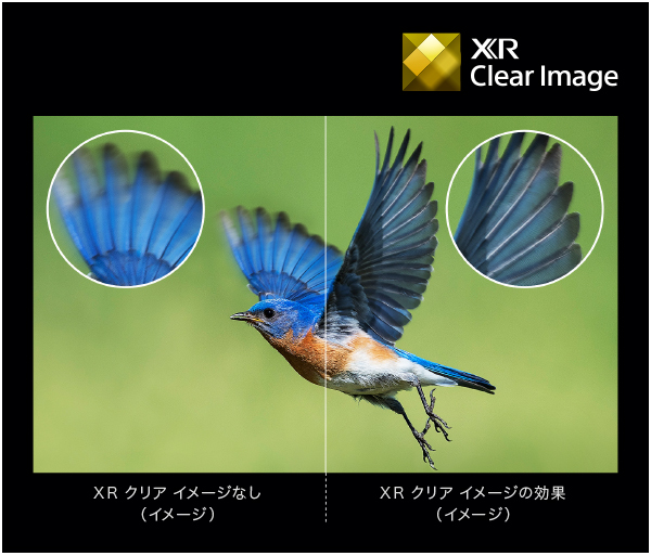 original xrj a80l xr clear image - 4K有機ELブラビア【鬼比較】XRJ-55A80LとXRJ-55A80K 違い口コミ レビュー!