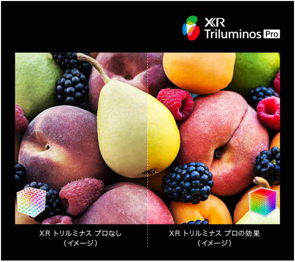 original xrj x95l xr trilminos pro - 【鬼比較】X95LシリーズとX95Kシリーズ 違い口コミ レビュー!